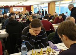 ChessOrg Bild